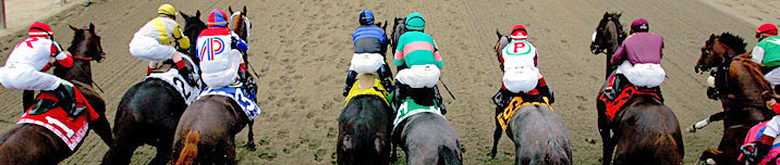 140th Belmont Stakes source:https://assets.espn.go.com/media/travel/2006/0425/photo/belmont740.jpg