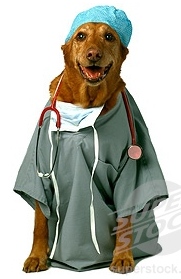 Introducin Dr. Doggie